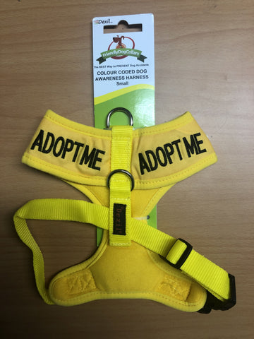 Vest Harness - Small - Charity Stock